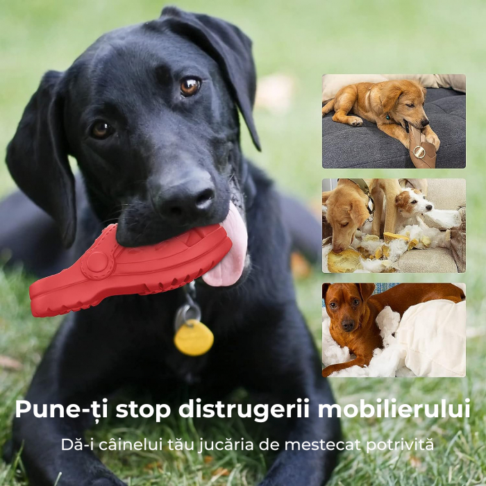 Jucarie de mestecat pentru caini, Rosu [5]