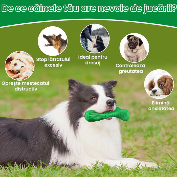 Jucarie interactiva de mestecat pentru caini, Verde, m [7]