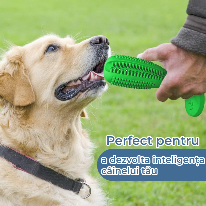 Jucarie interactiva de mestecat pentru caini, Verde, L [4]
