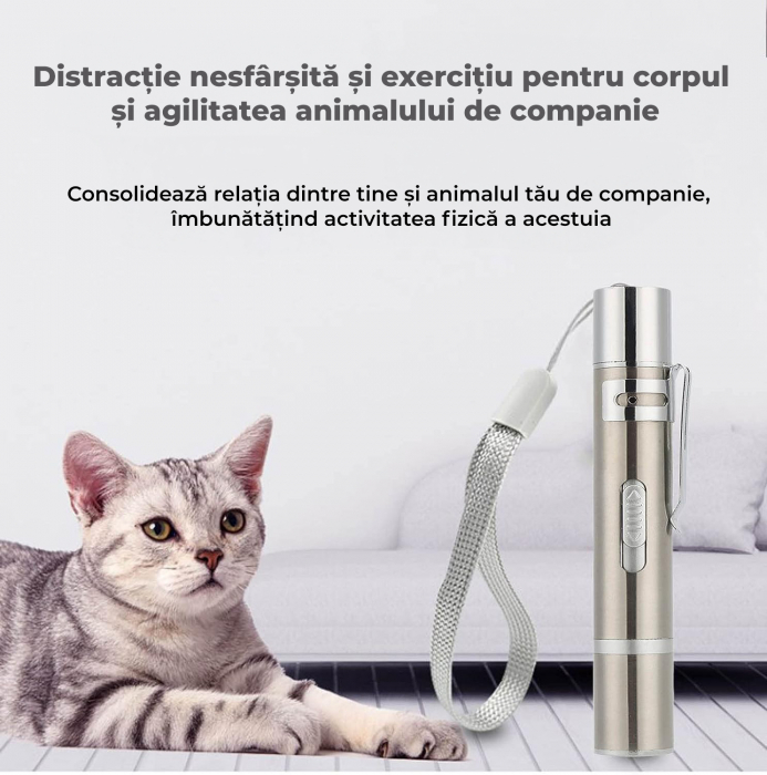 Jucarie laser pentru pisici si caini [4]