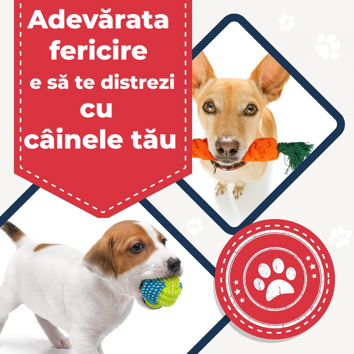 Jucarii interactive de mestecat pentru caini, set de 10 [5]