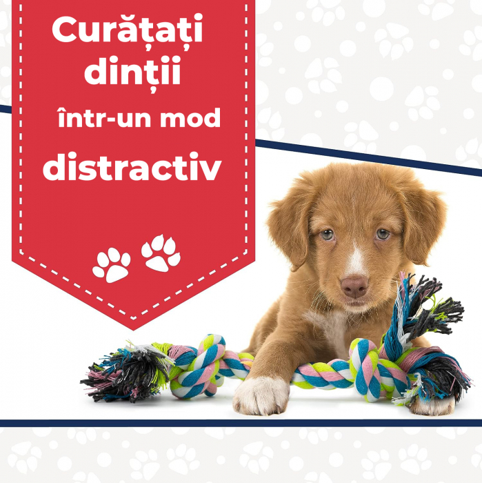 Jucarii interactive de mestecat pentru caini, set de 10 [3]