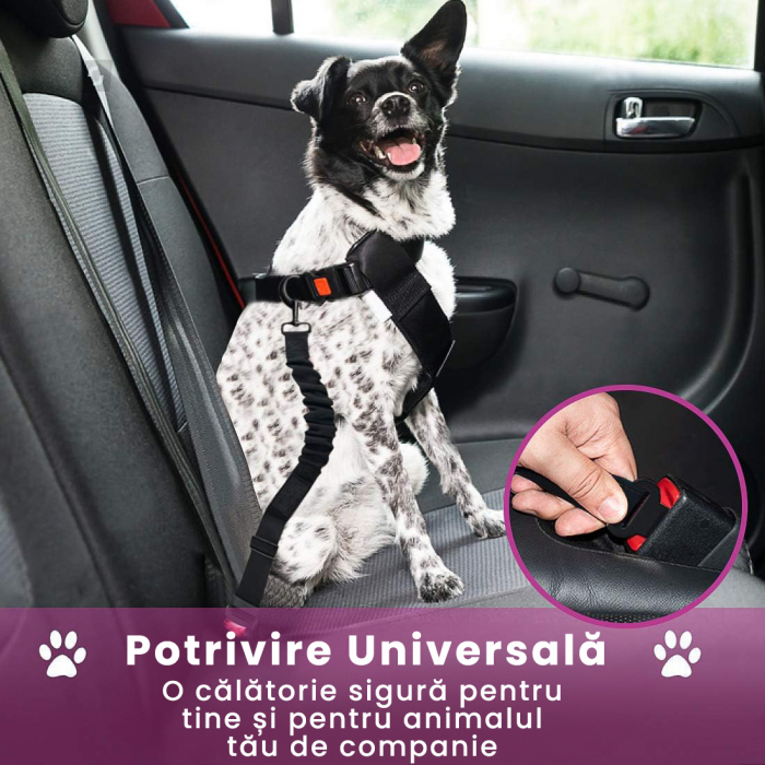 Lesa cu centura de siguranta pentru caini sau pisici, Negru si Roz [4]