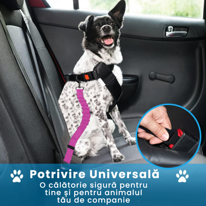 Lesa cu centura de siguranta pentru caini sau pisici, Albastru si Roz [4]