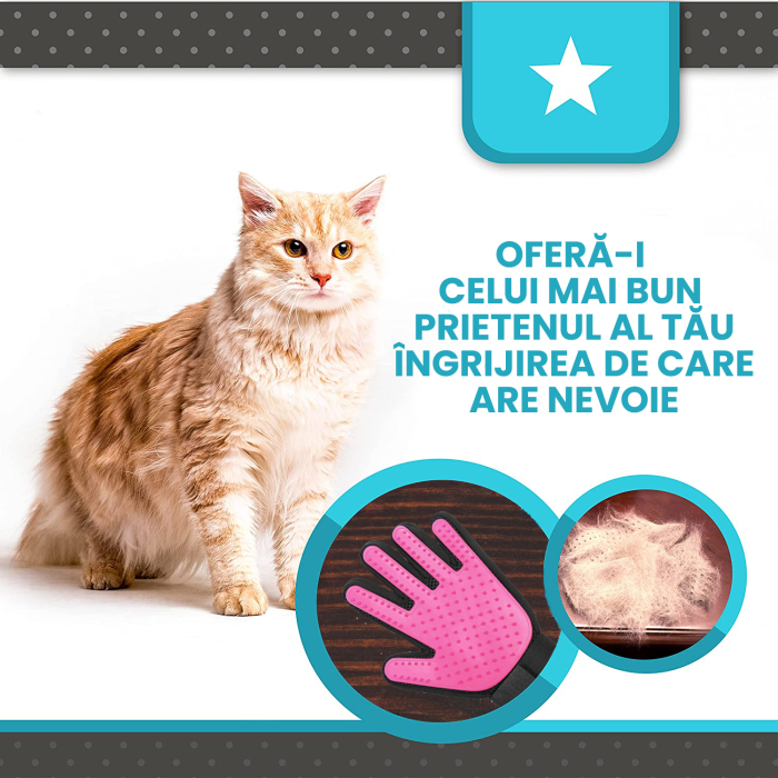 manusa tip perie roz [4]