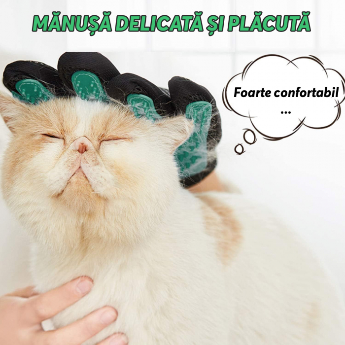 Manusa tip perie Verde [7]