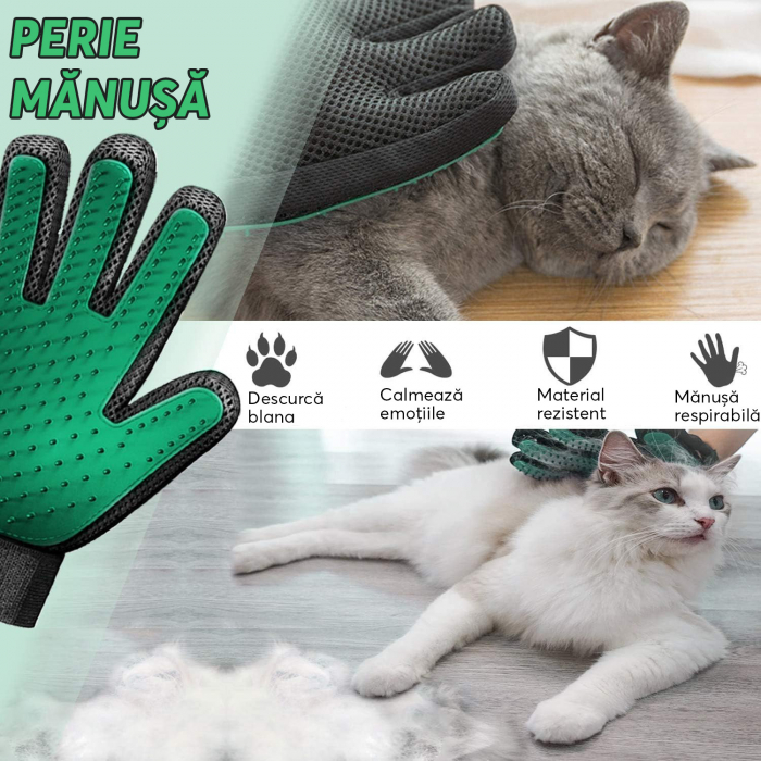 Manusa tip perie Verde [6]