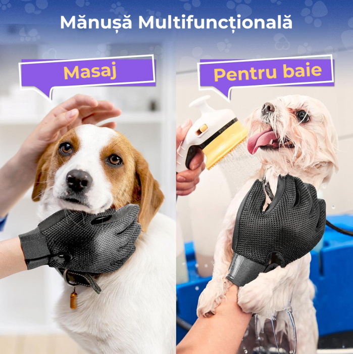 Manusa tip perie Mov [6]