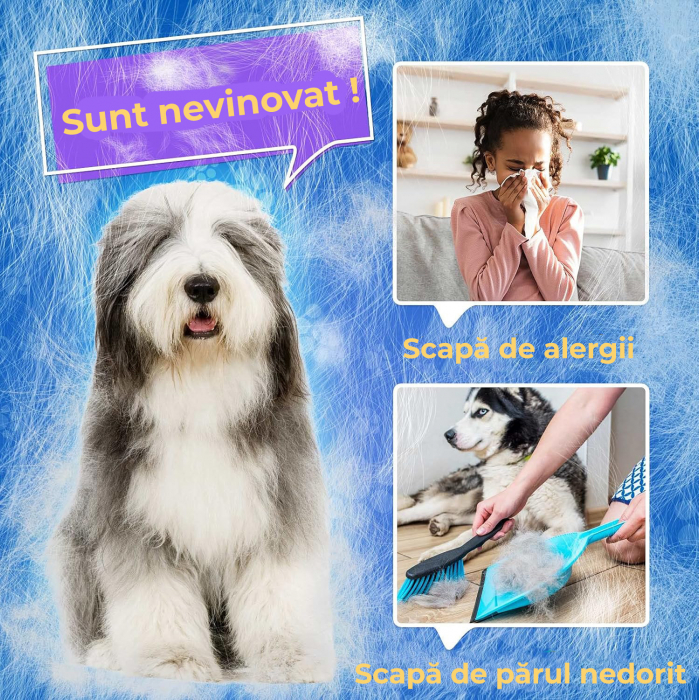 Manusa tip perie Mov [3]