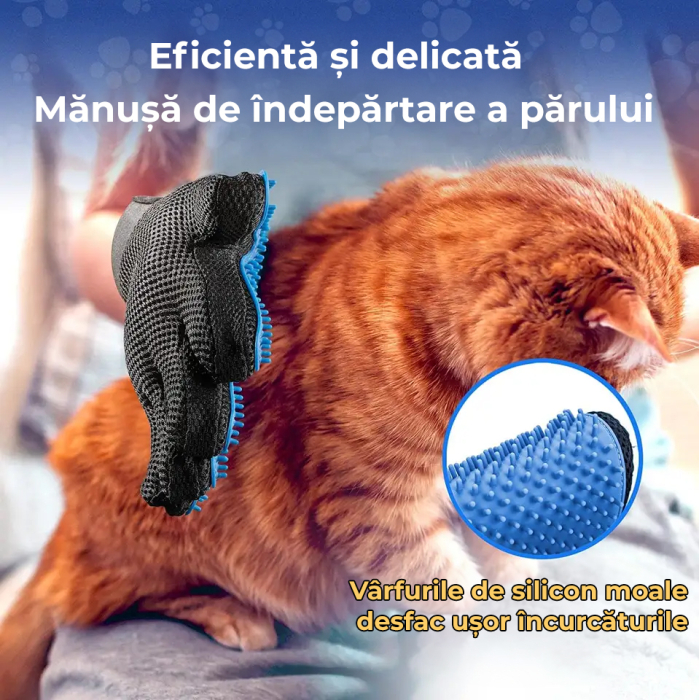 Manusa tip perie, Albastru [9]