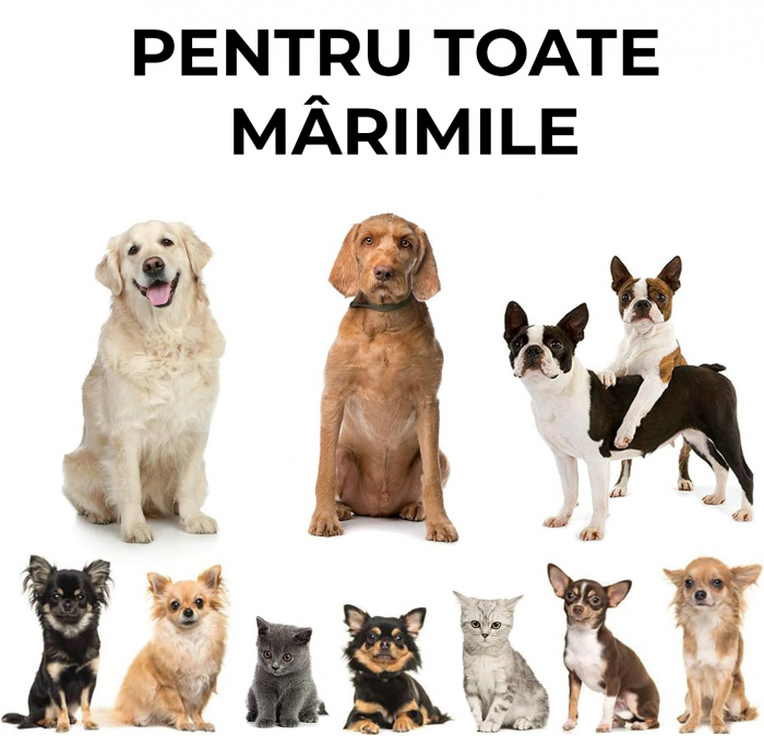 Perie 2 in 1 pentru animale de companie - verde [7]