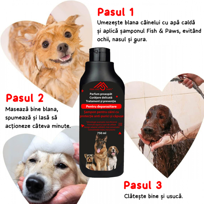 Sampon pentru caini anti-purici [5]