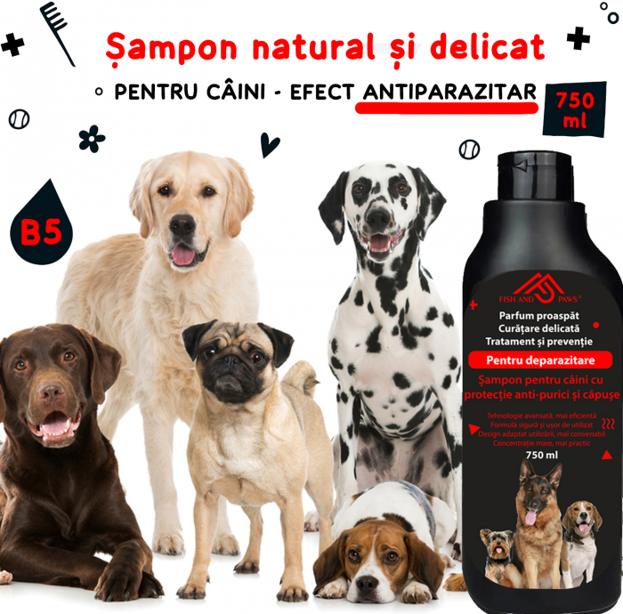 Sampon pentru caini anti-purici [7]