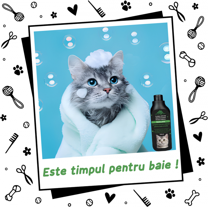 Sampon pentru pisici [3]