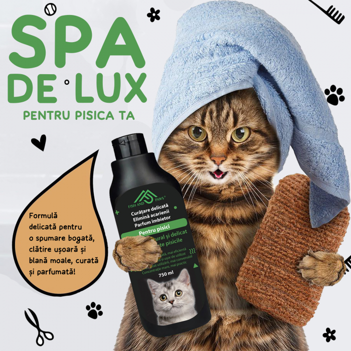 Sampon pentru pisici [2]