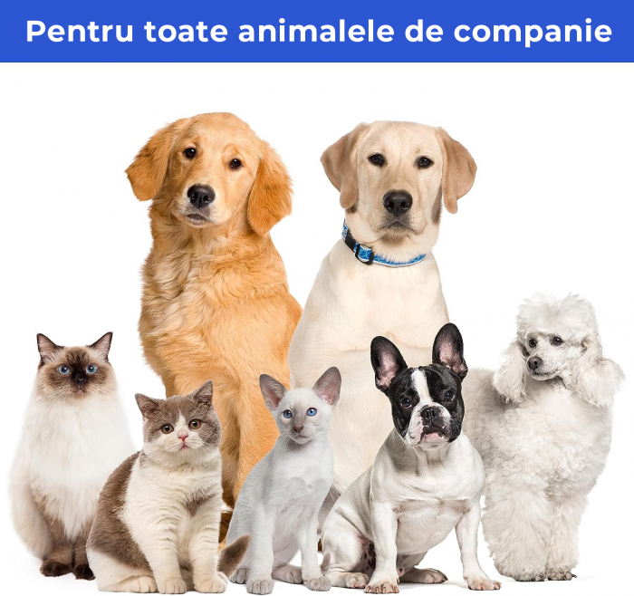 Set de ingrijire pentru animalele de companie [6]