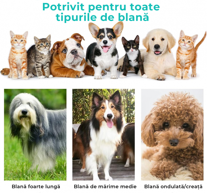 Set de ingrijire pentru animalele de companie - RESIGILAT [3]