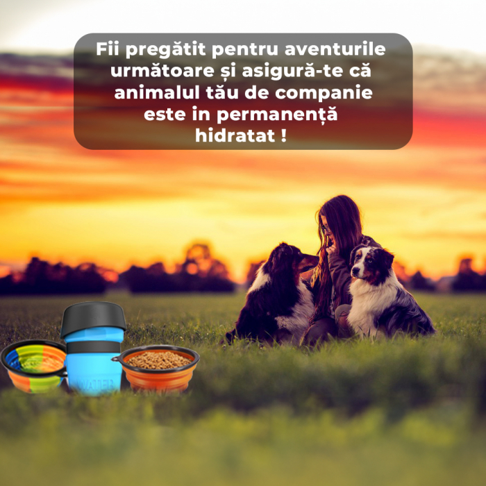 Sticla portabila de apa cu 2 boluri pliabile pentru Caini si Pisici [8]