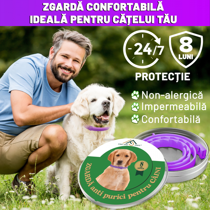 Zgarda anti purici - 1 Buc [4]