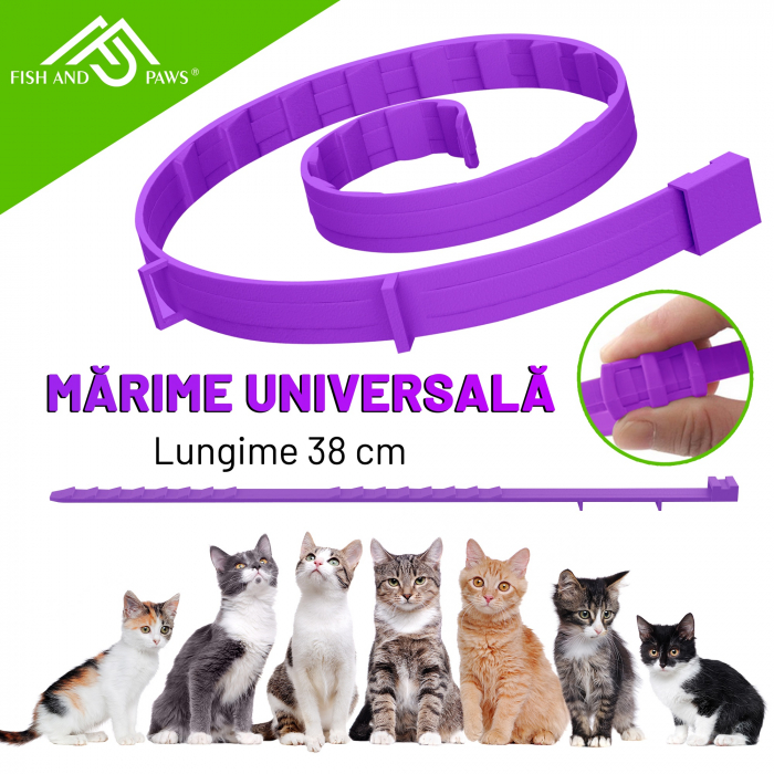 Zgarda anti purici - 2 Buc [7]