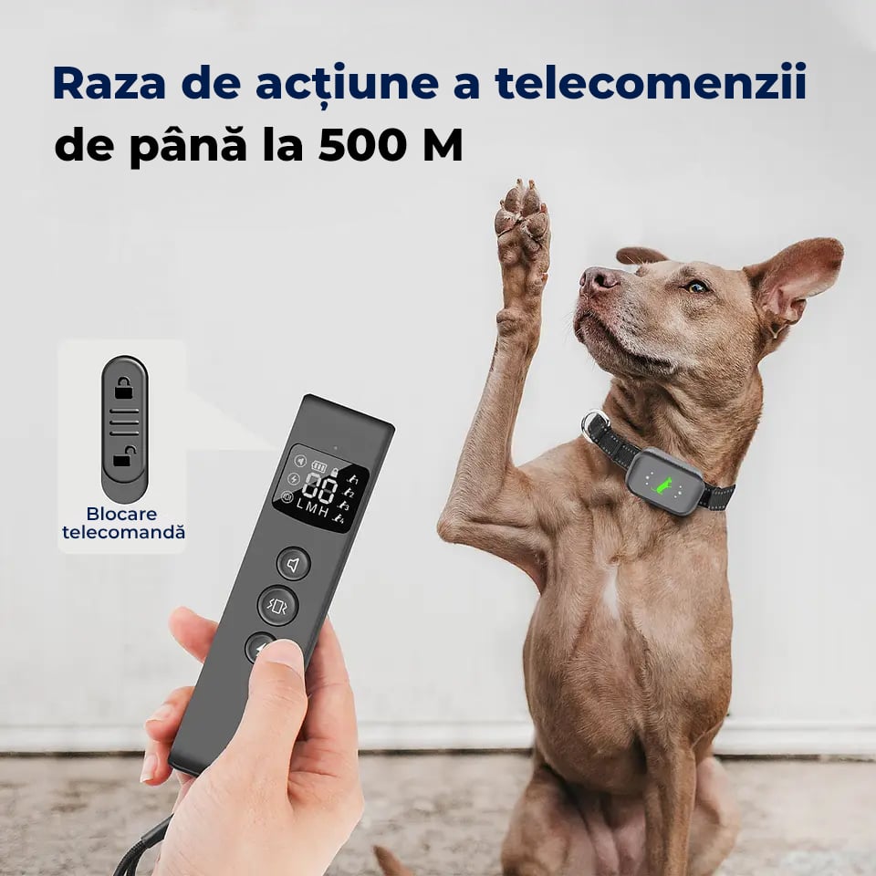 Zgarda electrica cu telecomanda [2]