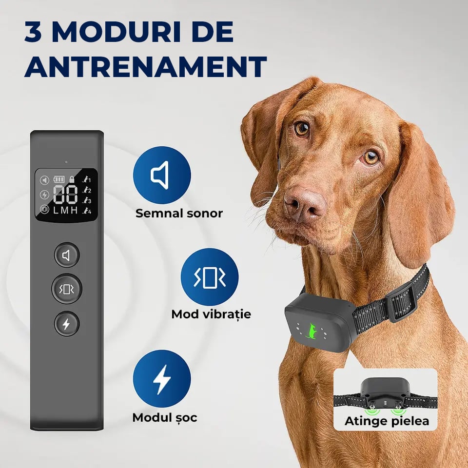 Zgarda electrica cu telecomanda [4]