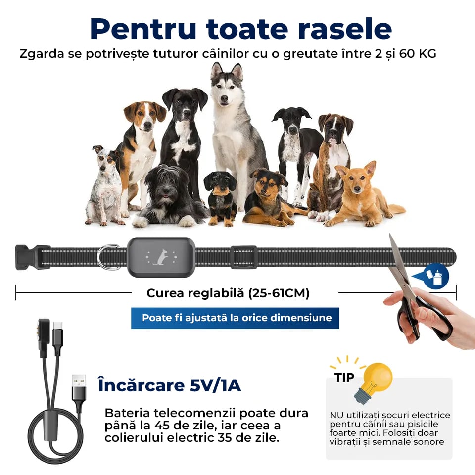 Zgarda electrica cu telecomanda [3]
