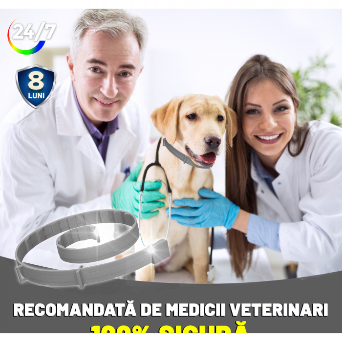 Zgarda anti purici pentru Caini Gri 1 buc [7]