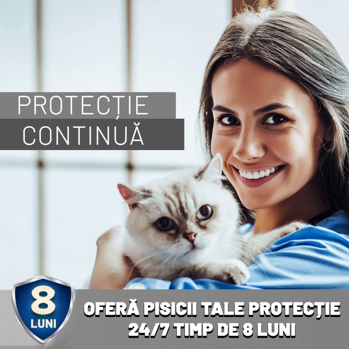 Zgarda anti purici pentru pisici Gri 1 buc [4]
