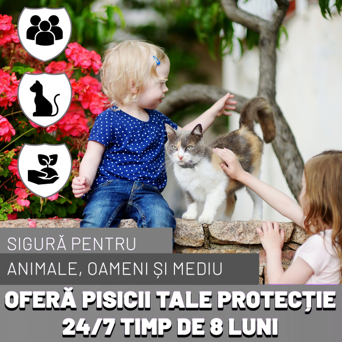 Zgarda anti purici pentru pisici Gri 1 buc [5]