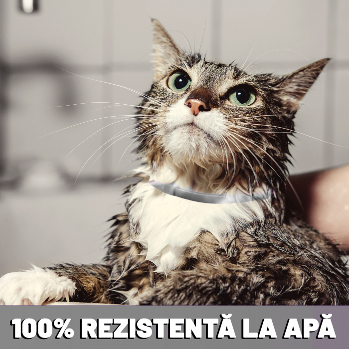 Zgarda anti purici pentru pisici Gri 1 buc [2]