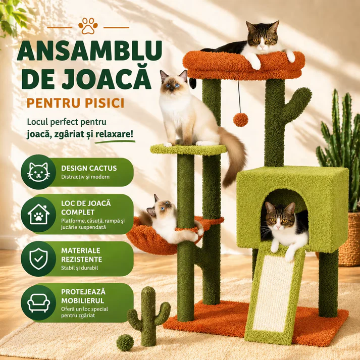 Ansambluri - Ansamblu de joaca - Cactus