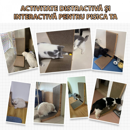 Ansamblu de joaca pentru pisici orizontal si vertical tip carton [2]