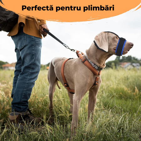 Botnita ajustabila pentru caini, Marimea L, Negru si Albastru [2]