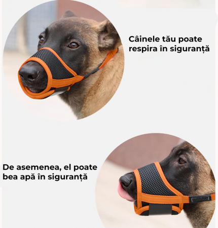 Botnita ajustabila pentru caini, Marimea L, Negru cu Portocaliu [4]