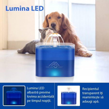 Dispenser de apa Tip fantana Albastru [6]