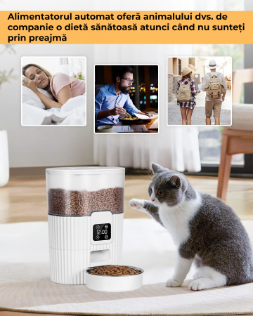Hranitor automat pentru caini si pisici [3]