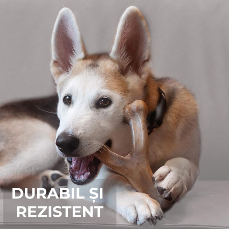 Jucarie de mestecat pentru caini, forma de os, aroma de bacon [2]