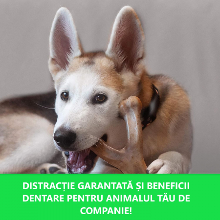 Jucarie de mestecat pentru caini, forma de os, aroma de bacon [8]