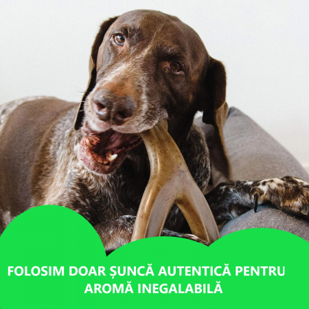 Jucarie de mestecat pentru caini, forma de os, aroma de bacon [5]