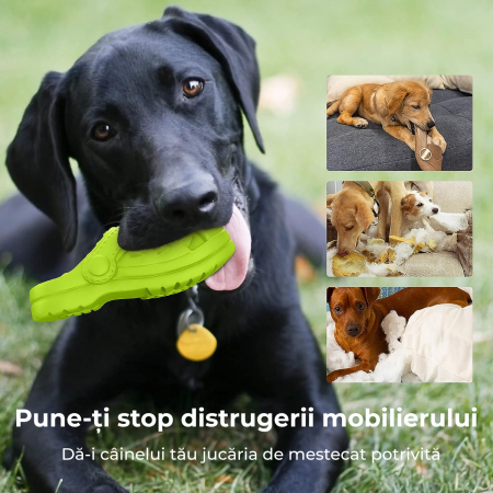 Jucarie de mestecat pentru caini, Verde [5]