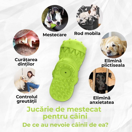 Jucarie de mestecat pentru caini, Verde [2]