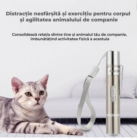 Jucarie laser pentru pisici si caini [3]