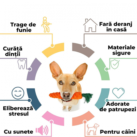 Jucarii interactive de mestecat pentru caini, set de 10 [1]
