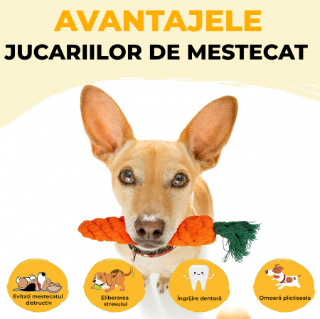 Jucarii interactive pentru caini set 18 [5]
