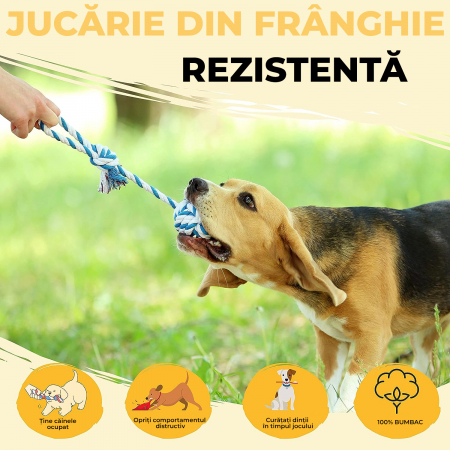 Jucarii interactive pentru caini set 18 [1]