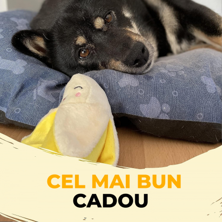 Jucarii interactive pentru caini set 18 [6]