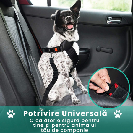 Lesa cu centura de siguranta pentru caini sau pisici, Negru [2]