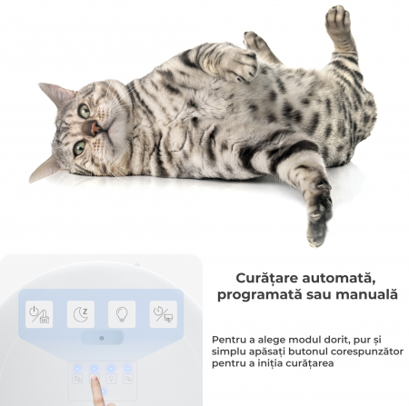 Litiera automata smart [1]