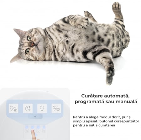 Litiera automata smart [1]